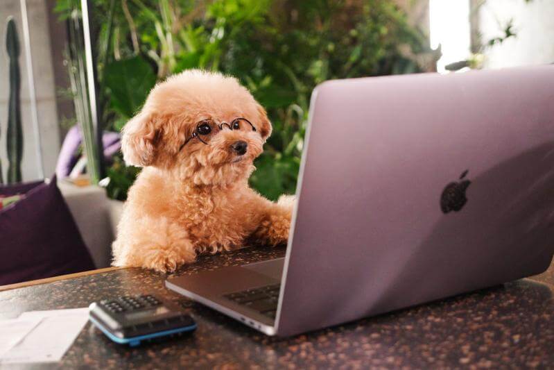 パウメモなら、1つにまとまる